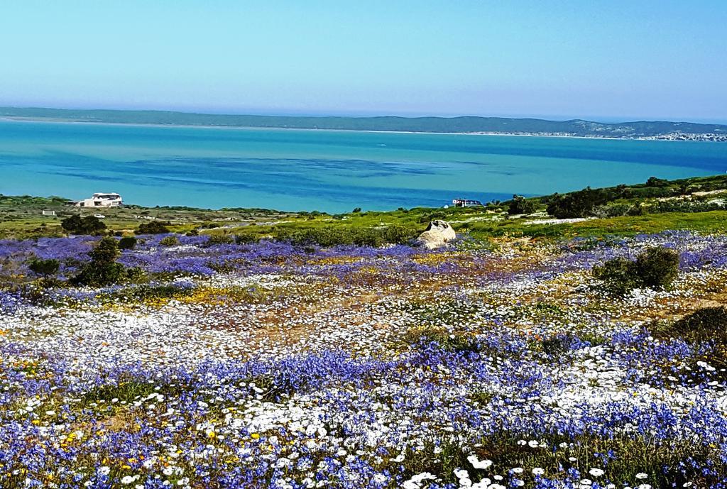 Lekkerplek Villa Langebaan Exterior photo